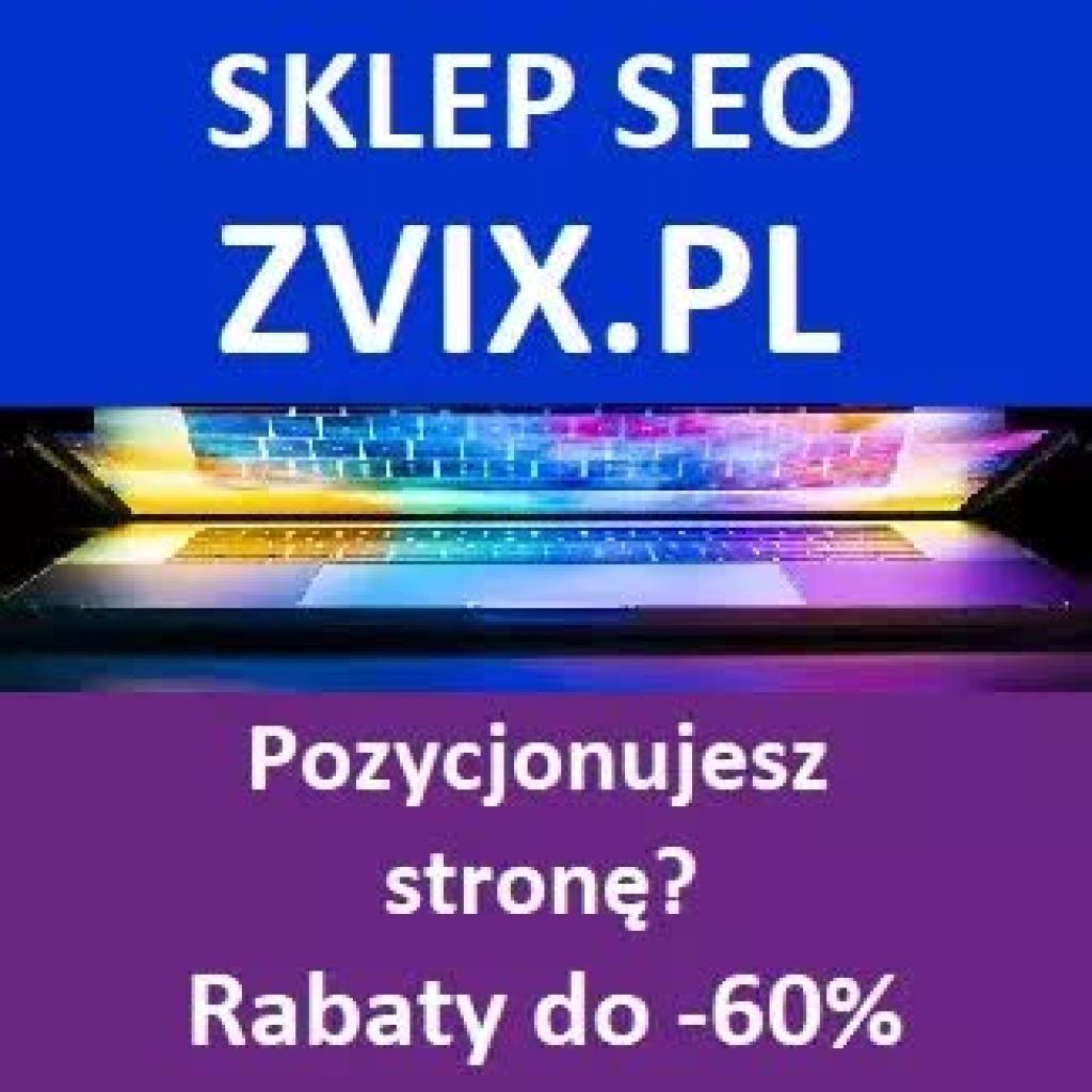 Pozycjonowanie stron w Google ze Zvix.pl